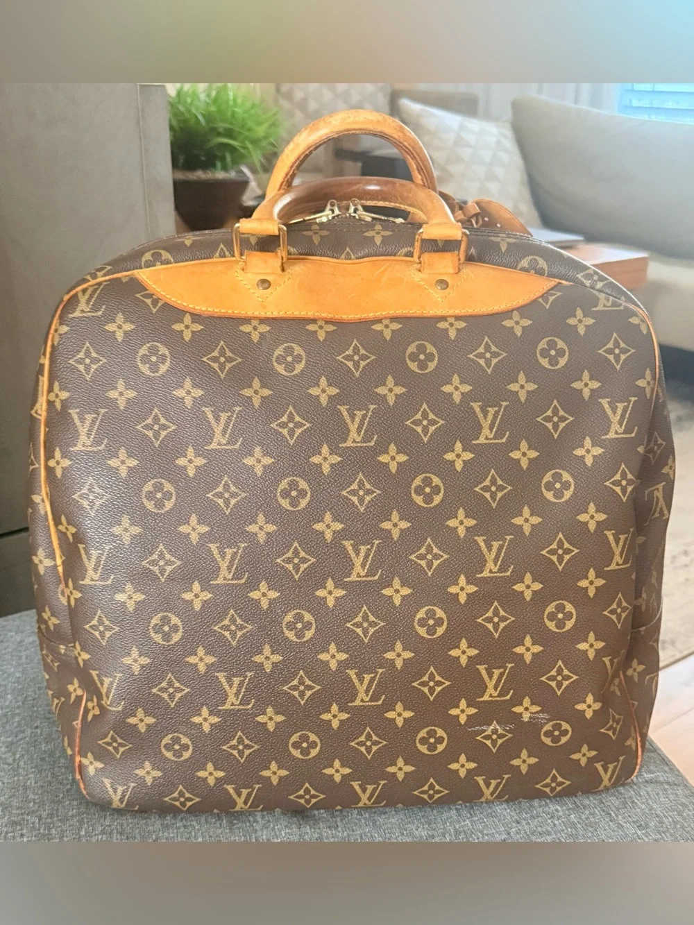 Louis Vuitton Brown Monogram Evasion